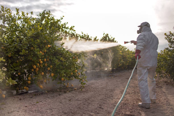 Best Best Pest Control Companies  in Grovetown, GA